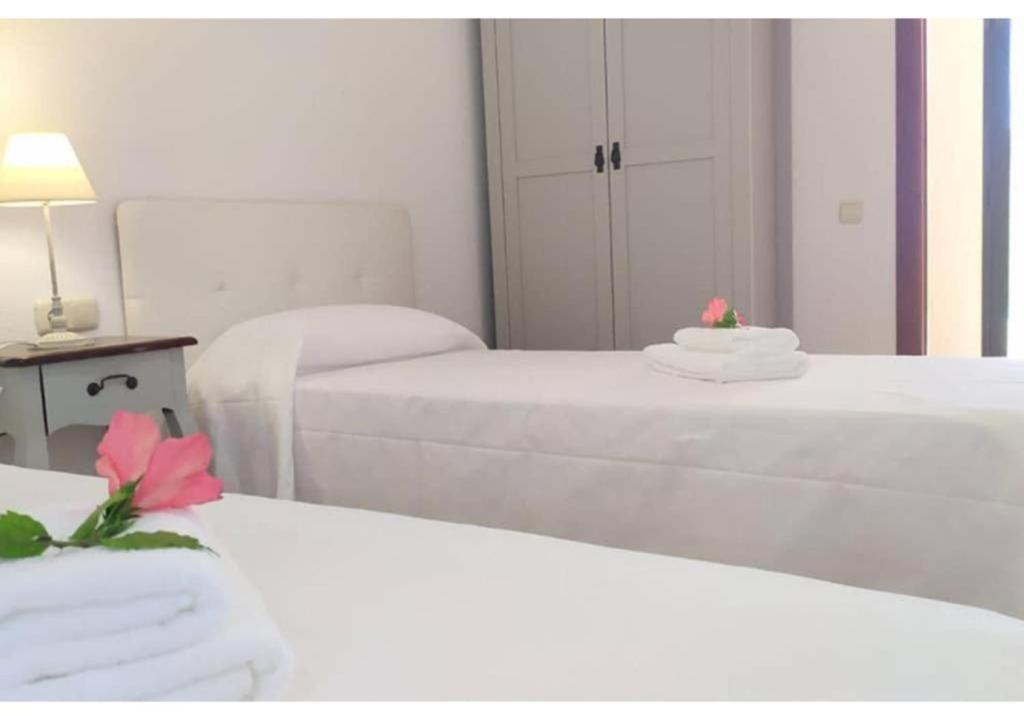 Anahi Homes Corralejo- Bicacarera 3 La Oliva